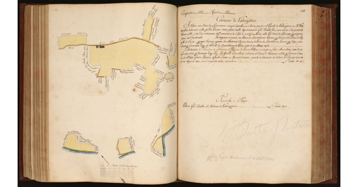 [Pianta di un podere con casa da lavoratore situato in località "Varrocchio" nel Comune e Popolo di Valenzatico]