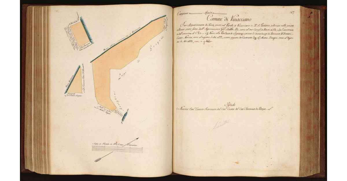 [Pianta di tre appezzamenti di terreno situati in località "il Pantano", nel Comune e Popolo di Vinacciano]