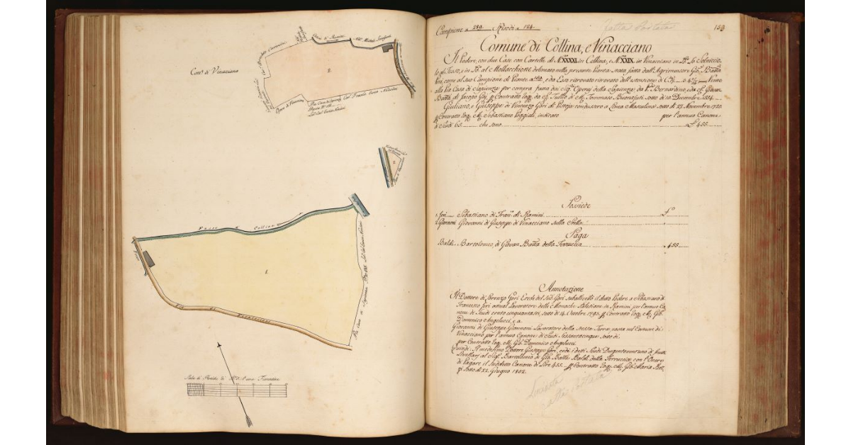 [Pianta di un podere costituito da tre appezzamenti di terreno separati, di cui due con casa, situati in località "Solnicciolo al Fosso" e "Mollacchione" nei Comuni di Collina e Vinacciano]