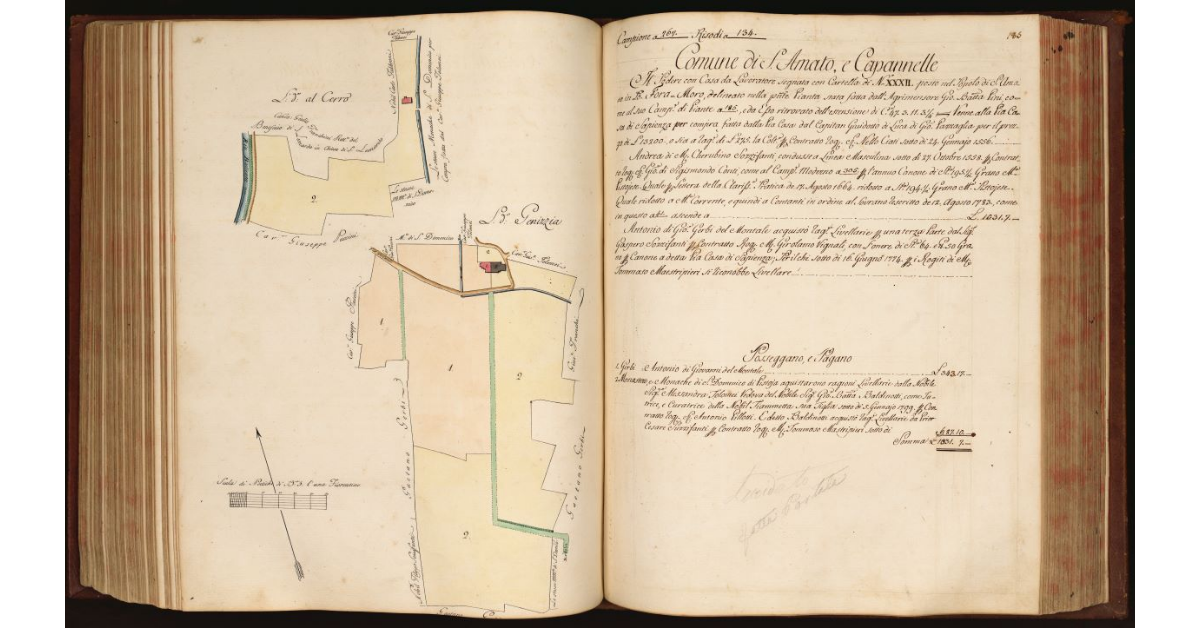 [Pianta di un podere con casa da lavoratore situato nel Comune di S. Amato e Capannelle, Popolo di S. Amato]