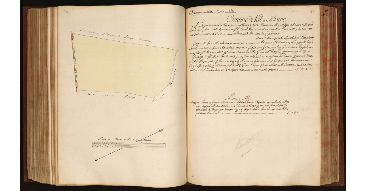 [Pianta di un appezzamento di terreno situato in località "Lippi" nel Comune e Popolo di Val di Brana]