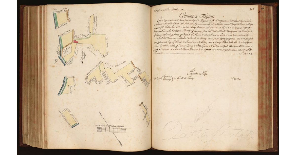 [Pianta di alcuni appezzamenti di terreno situati in località "Brugnani" nel Comune e Popolo di Tizzana]