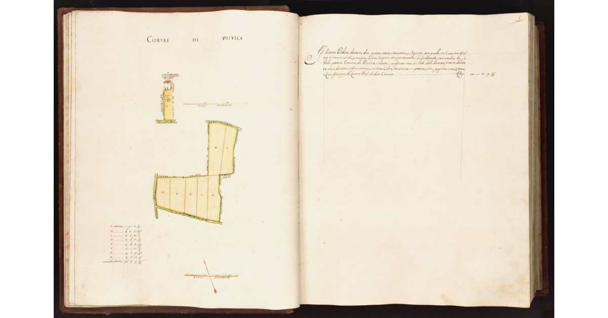 [Pianta di un podere situato nel Comune di Piuvica]