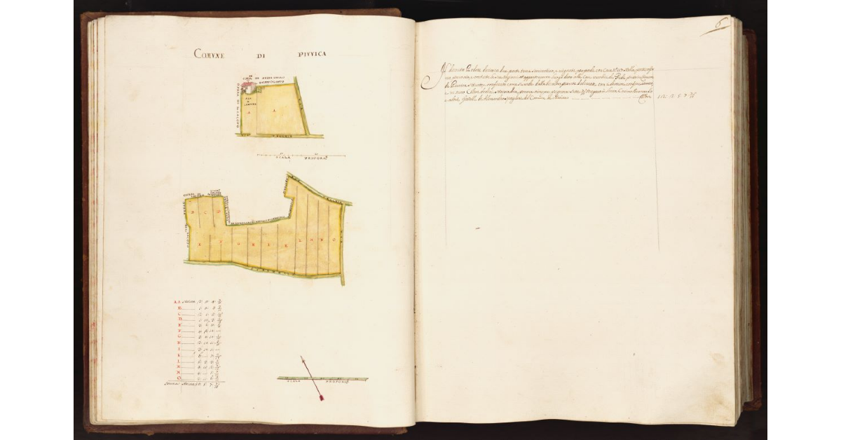 [Pianta di un podere situato nel comune di Piuvica]