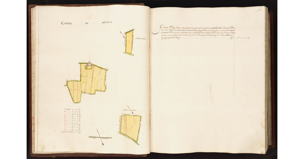 [Pianta di un un podere situato nei comuni di Piuvica e di S. Angelo]