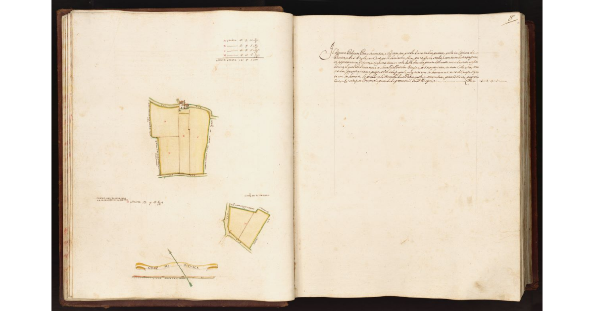 [Pianta di un podere situato nei comuni di Piuvica e di S. Angelo]