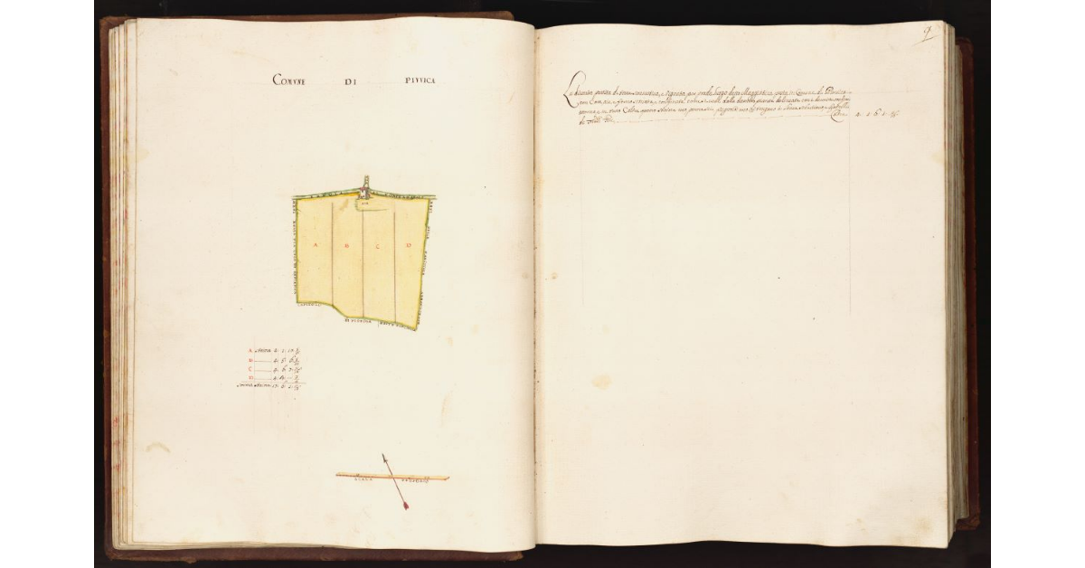 [Pianta di una partita di terra situata nel comune di Piuvica]