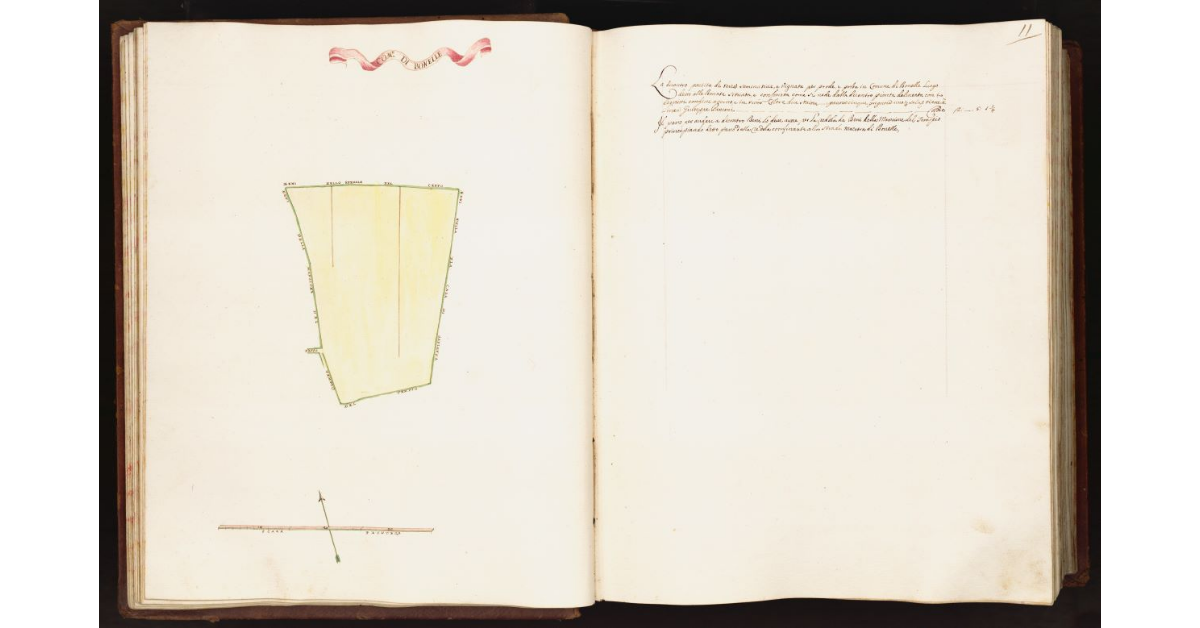 [Pianta di una partita di terra situata nel comune di Bonelle]