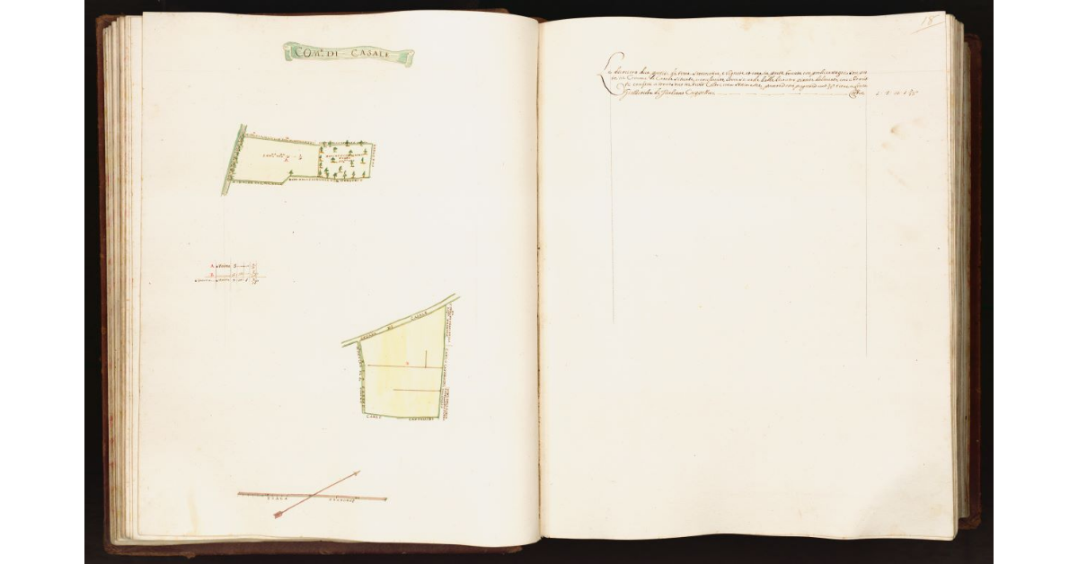 [Pianta di due partite di terra situate nel comune di Casale]