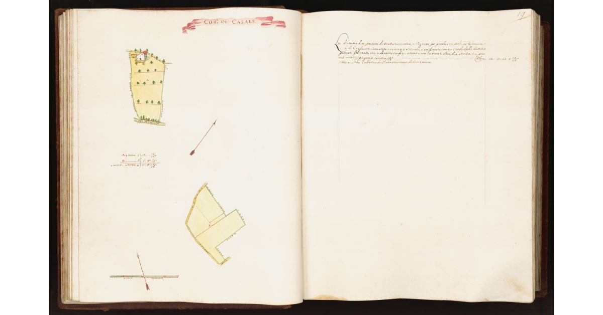 [Pianta di due partite di terra situate nel comune di Casale]