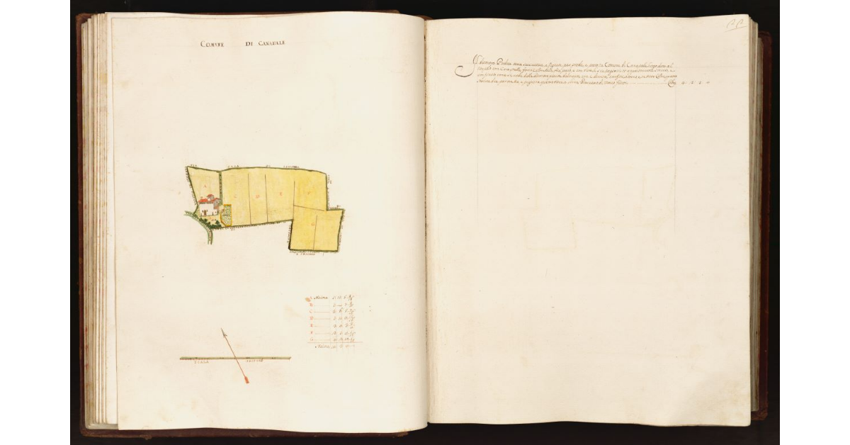 [Pianta di un podere situato nel comune di Canapale]
