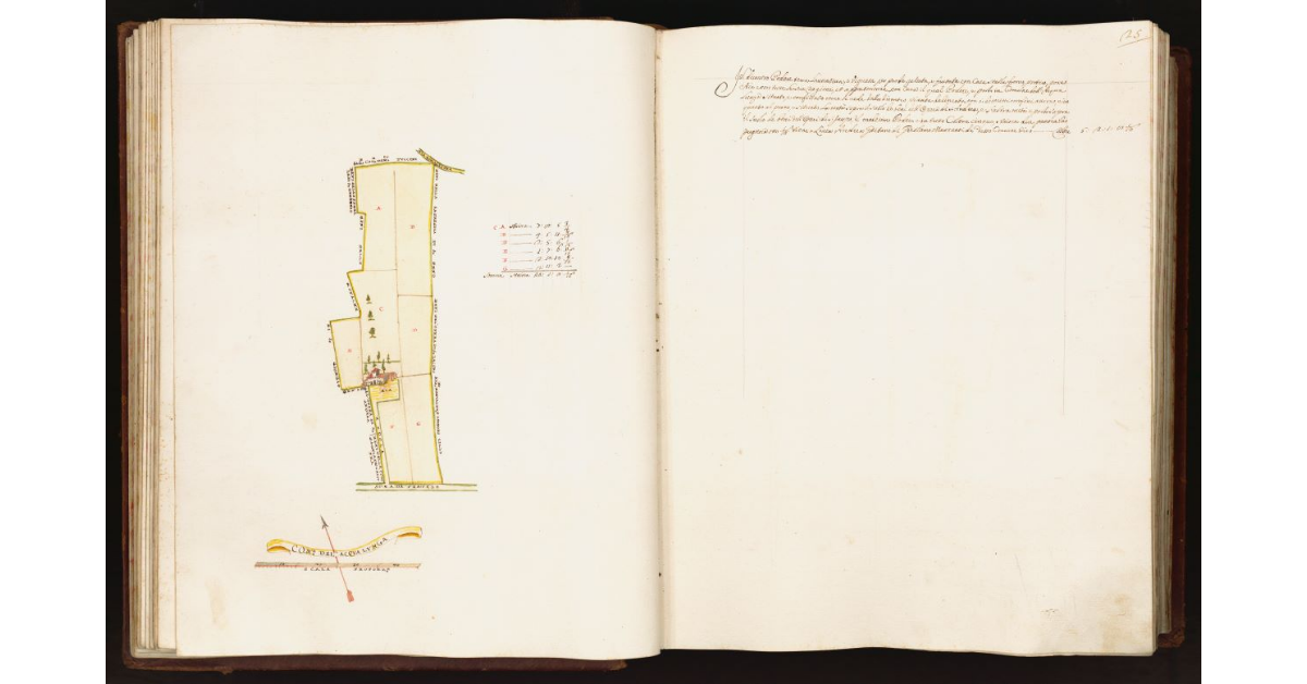 [Pianta di un un podere situato nel comune di Acqualunga]