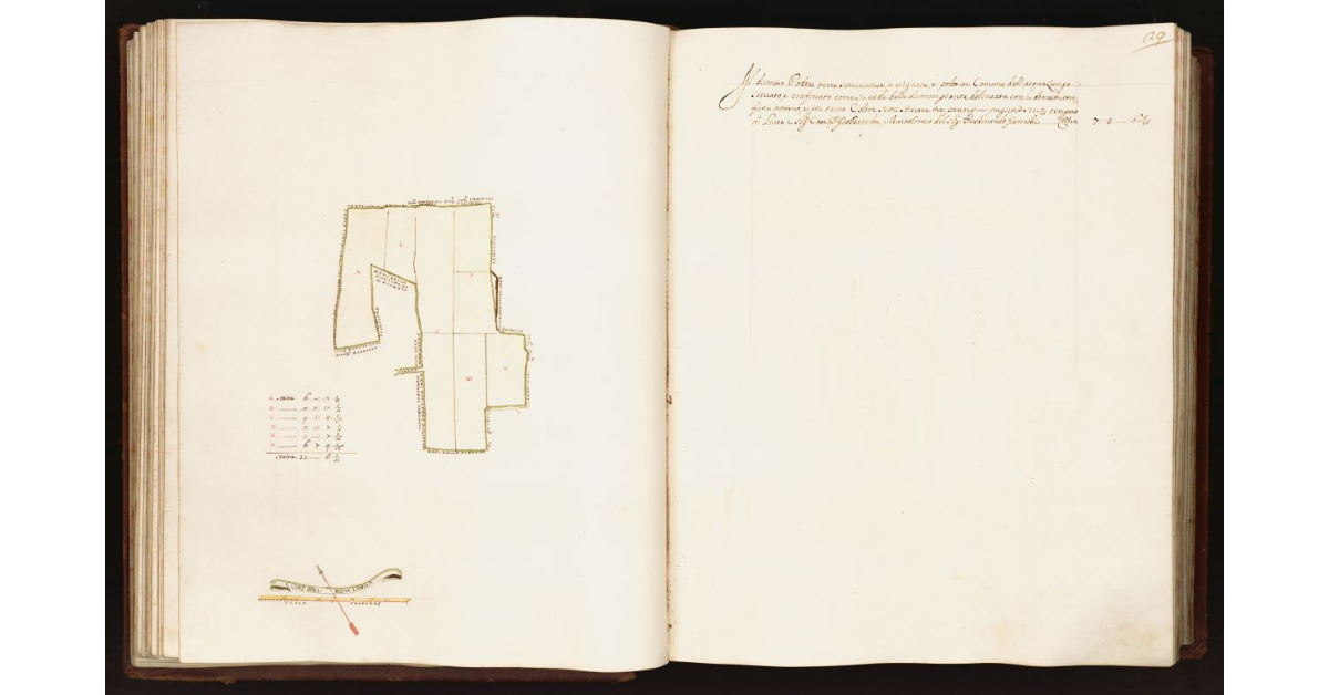 [Pianta di un podere situato nel comune di Acqualunga]