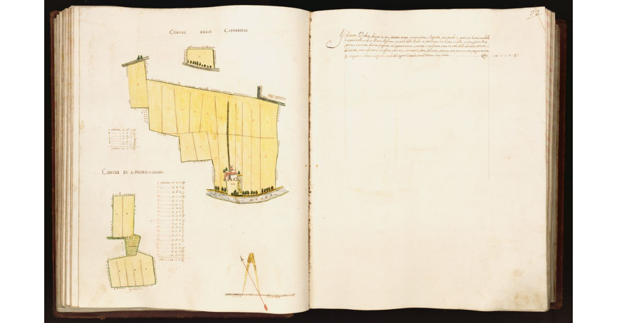 [Pianta di un podere situato nei comuni delle Capannelle e di S. Pietro Agliana nel Popolo della Badia a Pacciana]