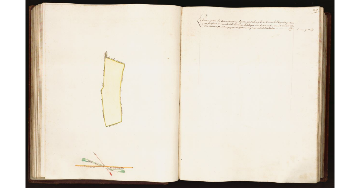 [Pianta di una partita di terra situata nel comune dell’Acqualunga]