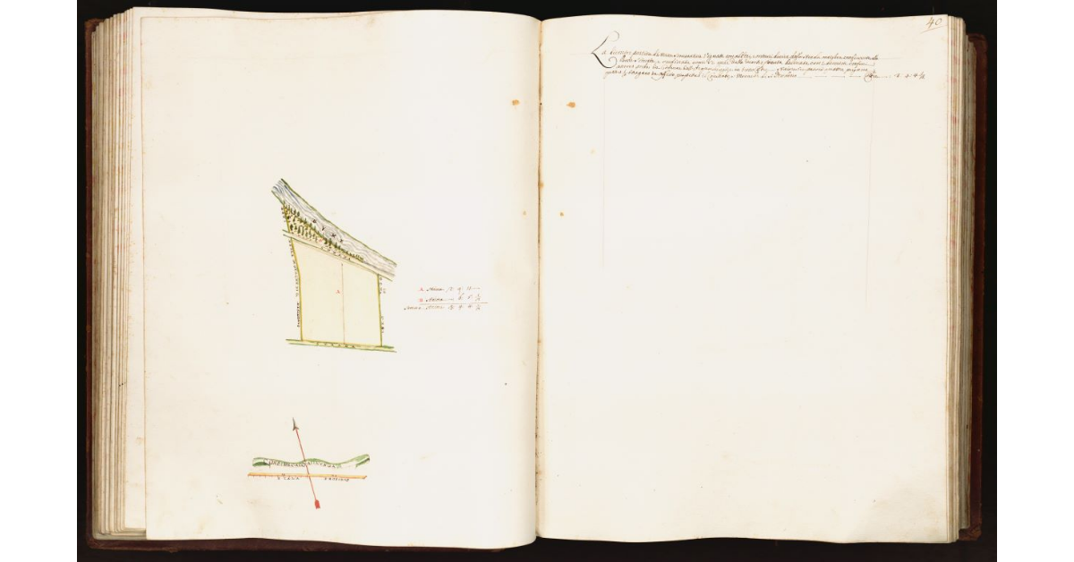 [Pianta di una partita di terra situata nel comune dell’Acqualunga]