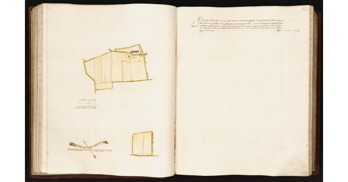 [Pianta di un podere nel comune di S. Omato]