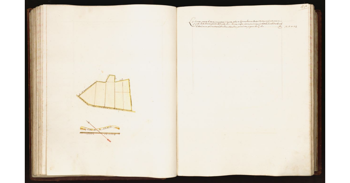 [Pianta di una partita di terra situata nel comune di S. Omato]