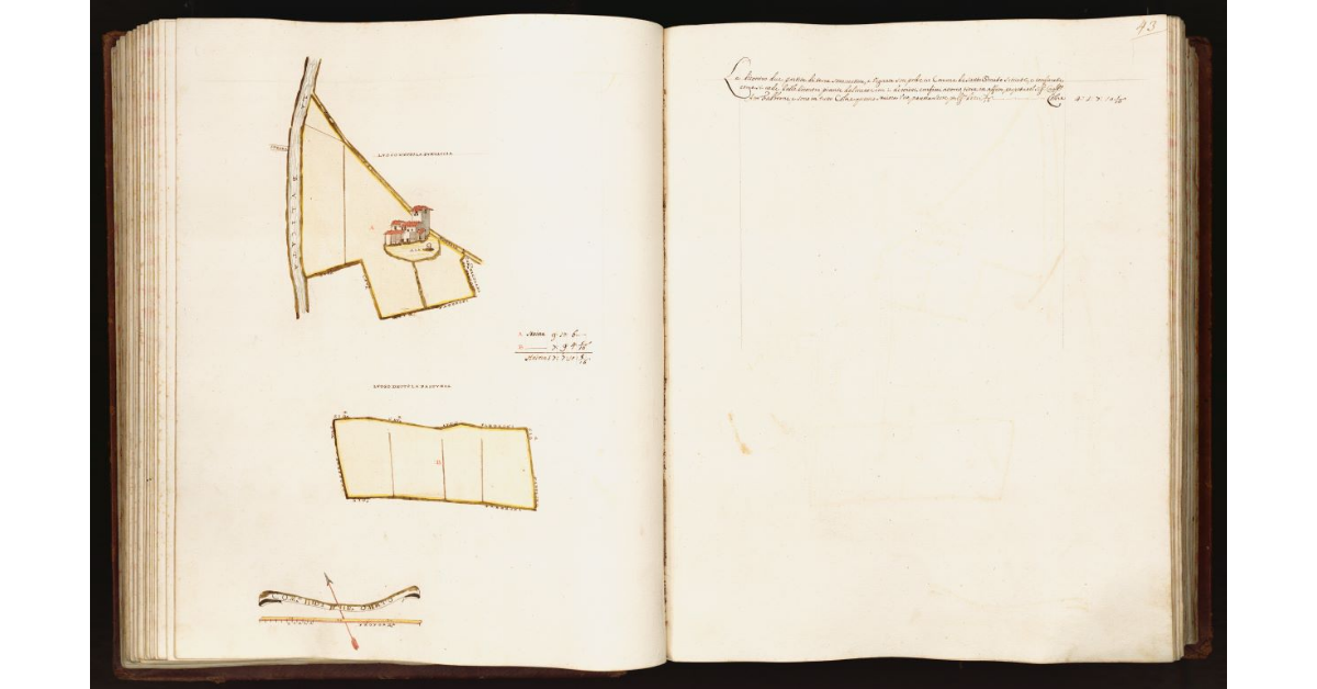 [Pianta di due partite di terra situate nel comune di S. Omato]