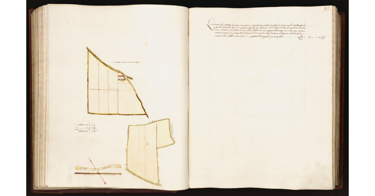 [Pianta di due partite di terra situate nel comune di S. Omato]