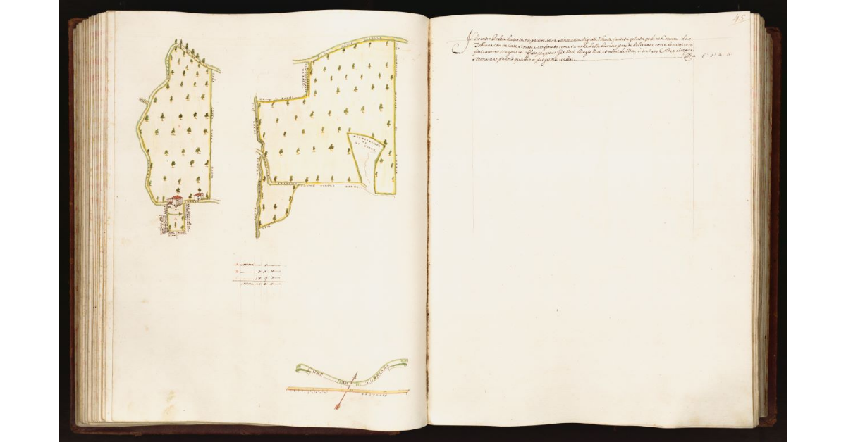 [Pianta di un podere situato nel comune di Tobbiana]