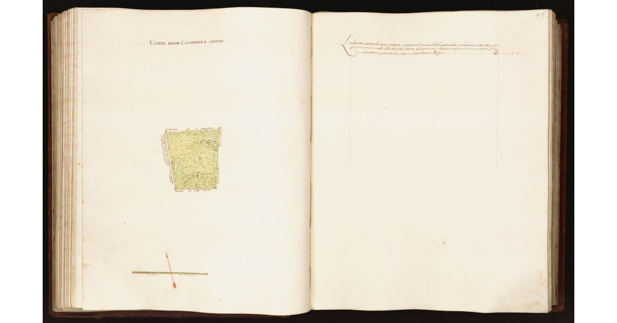 [Pianta di una partita di terra prativa situata nel comune delle Capannelle e Selvatana]