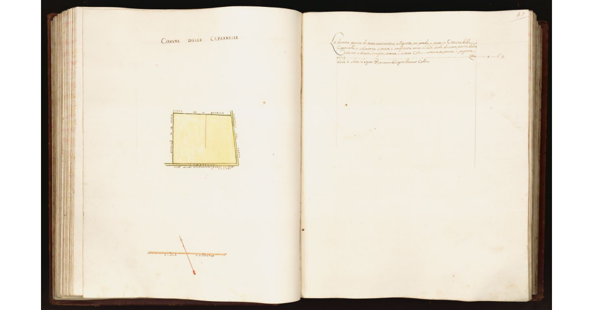 [Pianta di una partita di terra situata nel comune delle Capannelle e Selvatana]