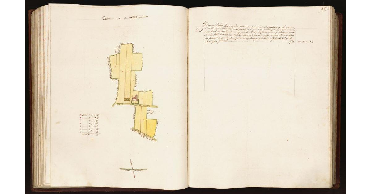 [Pianta di un podere situato nel comune di S. Pietro Agliana]
