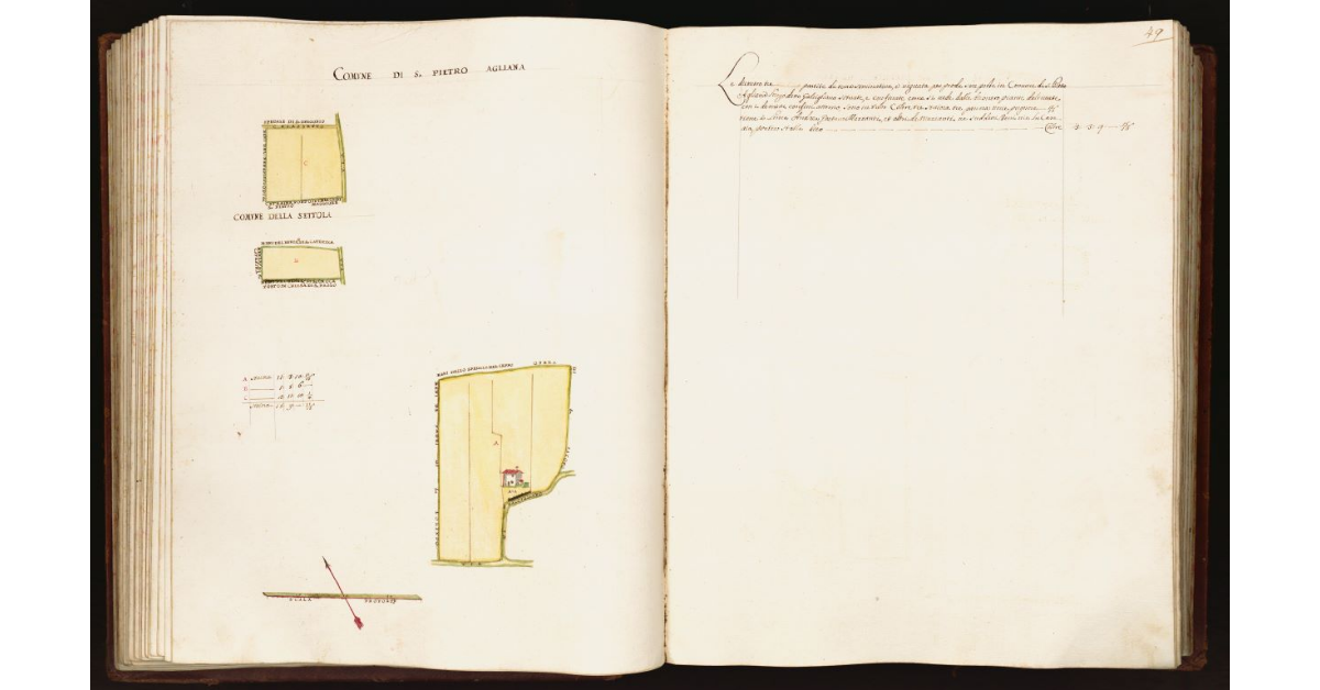 [Pianta di tre partite di terra situate nel comune di S. Pietro Agliana]