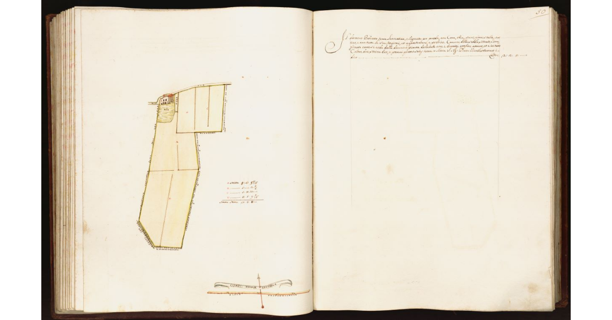 [Pianta di podere situato nel comune della Settola]