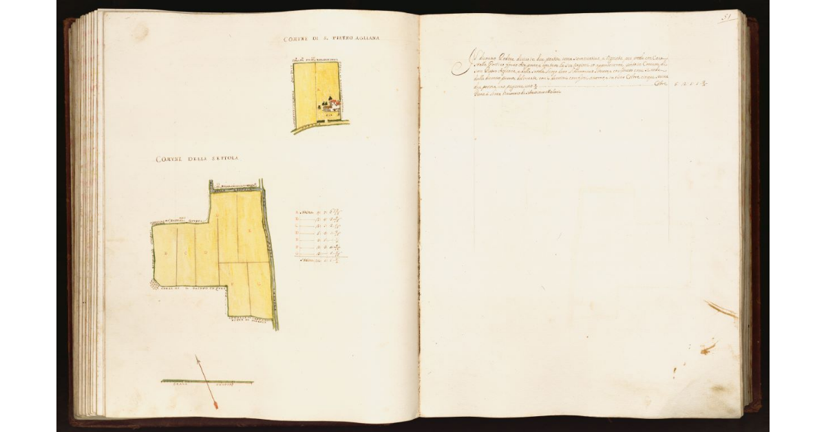 [Pianta di un podere situato nei comuni di S. Pietro Agliana e della Settola]