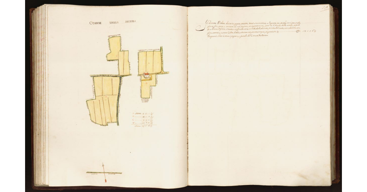 [Pianta di un podere situato nel comune della Settola]