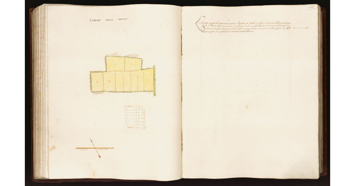 [Pianta di una partita di terra posta nel comune della Settola]