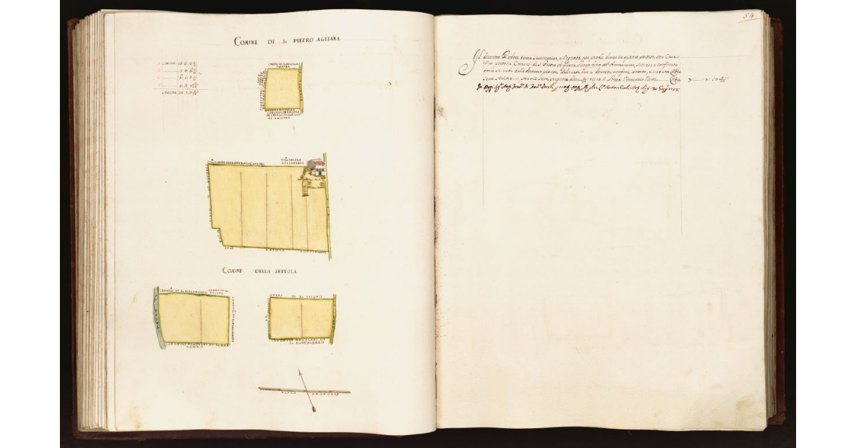 [Pianta di un podere situato nel comune di S. Pietro Agliana]