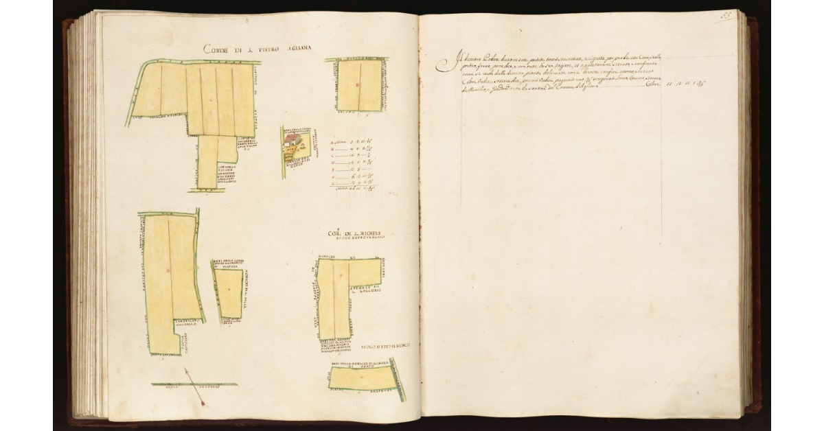 [Pianta di un podere situato nei comuni di S. Pietro Agliana e S. Michele]