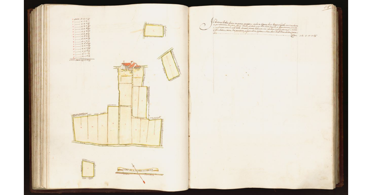 [Pianta di un podere situato nel comune di S. Biagio a Vignole]