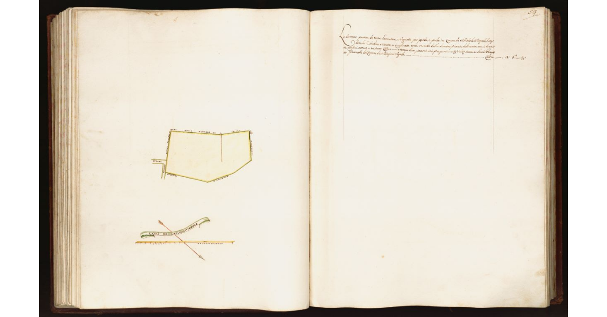 [Pianta di una partita di terra situata nel comune di S. Michele a Vignole]