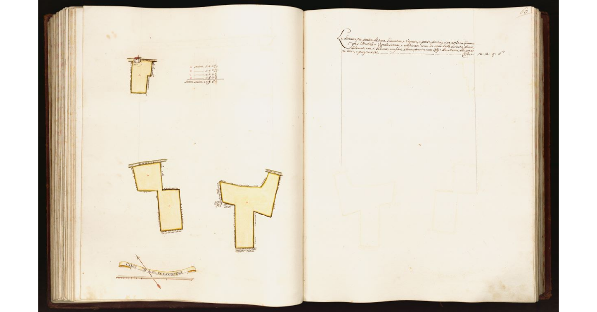 [Pianta di tre partite di terra situate nel comune di S. Michele a Vignole]