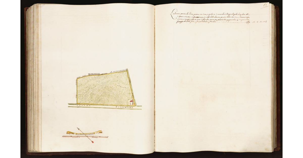 [Pianta di una partita di terra posta nel comune di S. Biagio a Vignole]