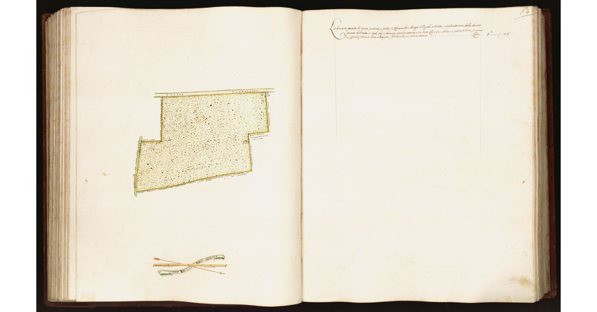 [Pianta di una partita di terra posta nel comune di S. Biagio a Vignole]