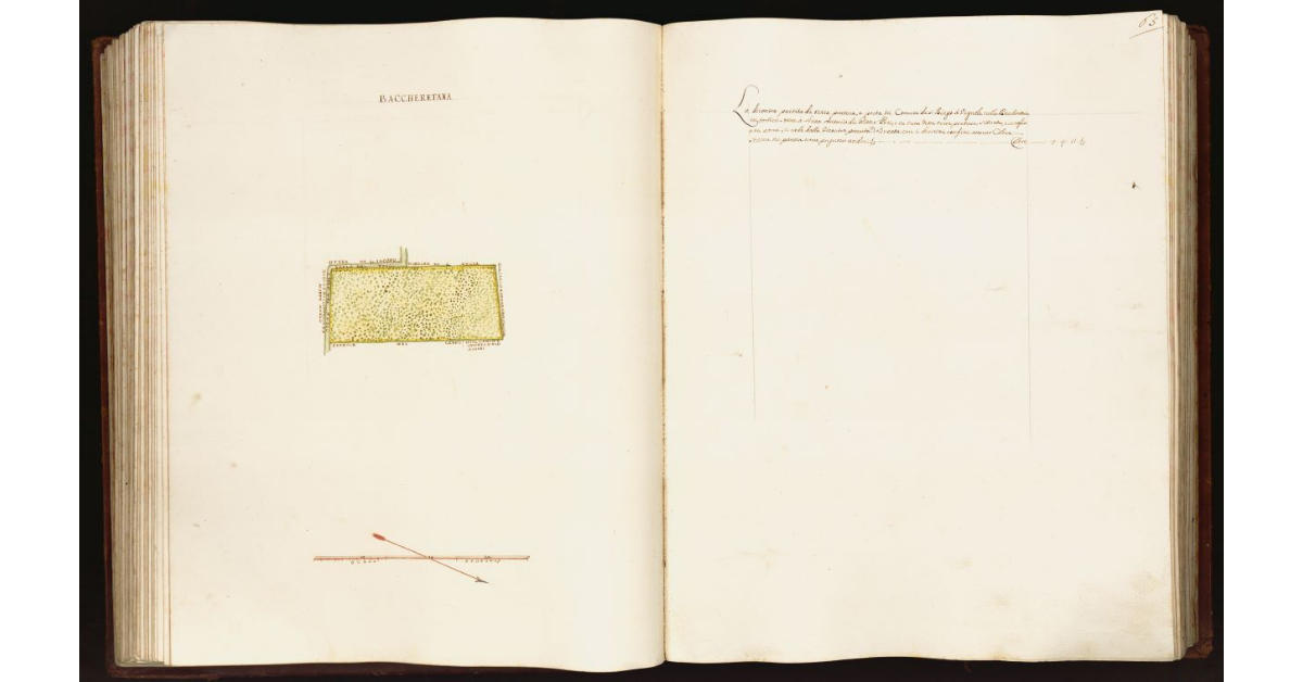 [Pianta di una partita di terra posta nel comune di S. Biagio a Vignole]