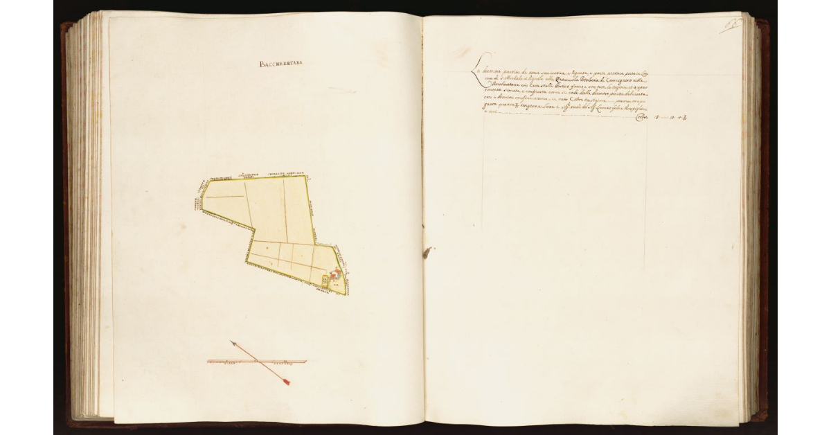 [Pianta di una partita di terra situata nel comune di S. Michele a Vignole alla Querciola]