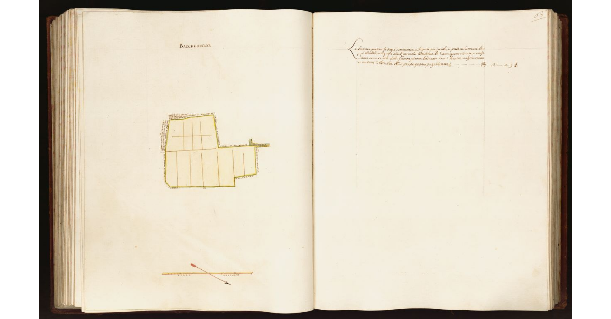 [Pianta di una partita di terra posta nel comune di S. Michele a Vignole alla Querciola]