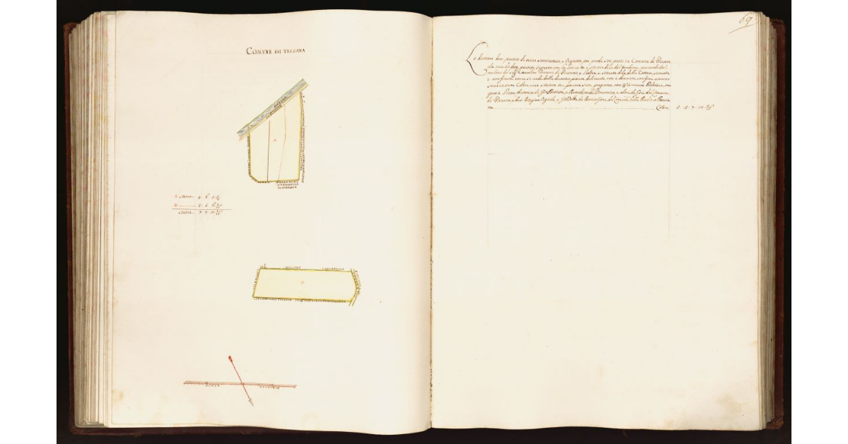 [Pianta di due partite di terra poste nel comune di Tizzana]