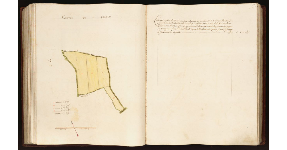 [Pianta di una partita di terra situata nel comune di S. Angelo]