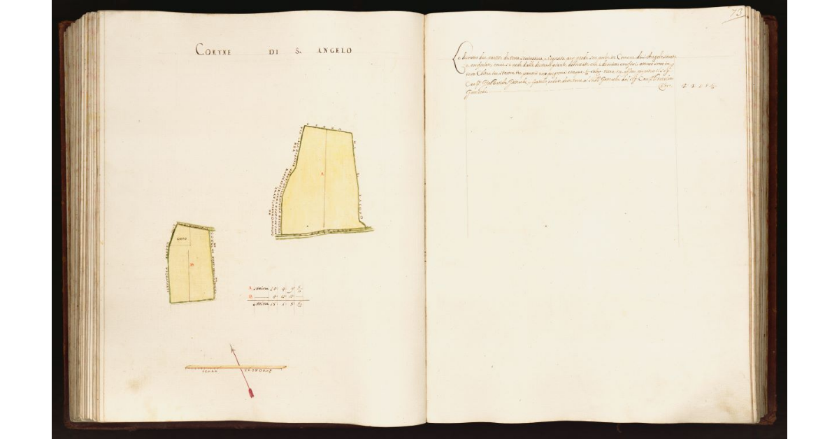 [Pianta di due partite di terra situate nel comune di S. Angelo]