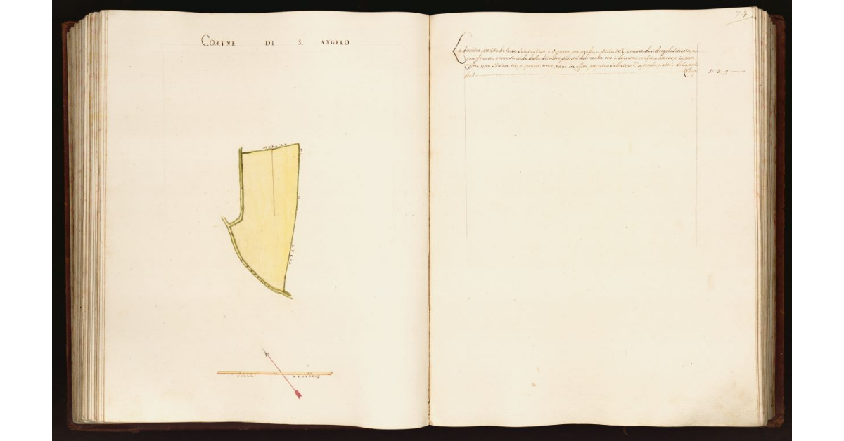 [Pianta di una partita di terra posta nel comune di S. Angelo]