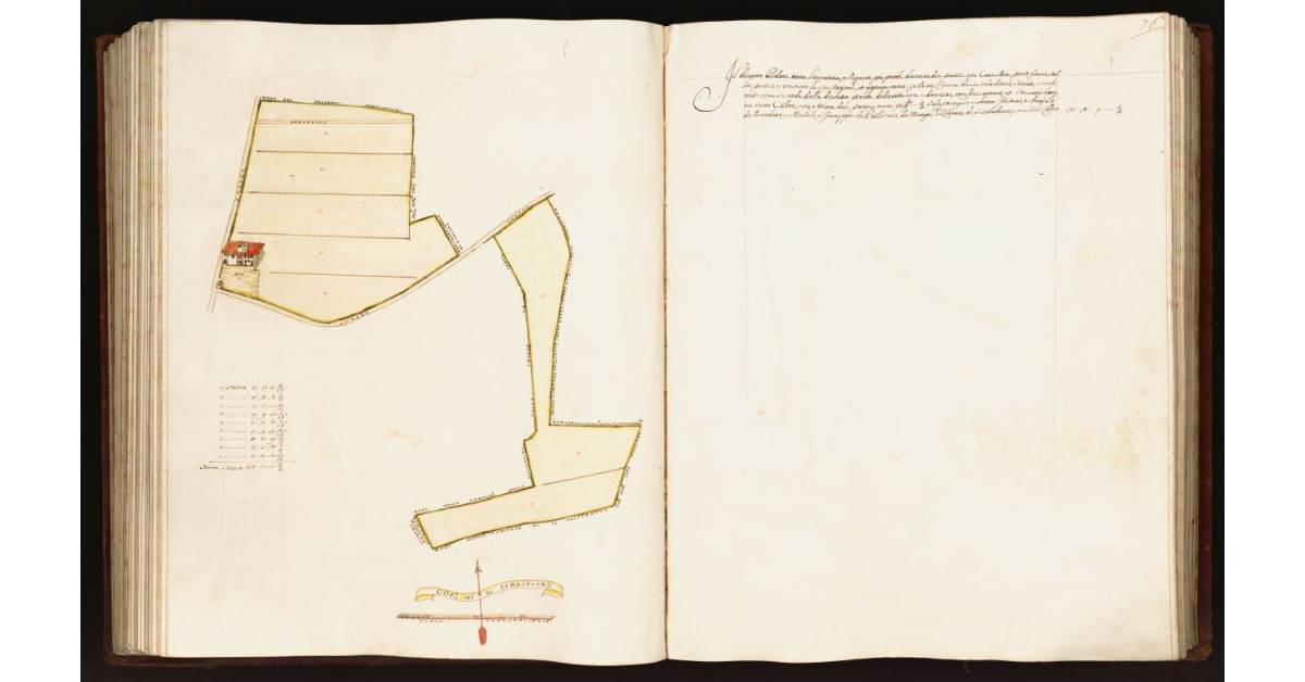 [Pianta di un podere situato nel comune di S. Sebastiano]