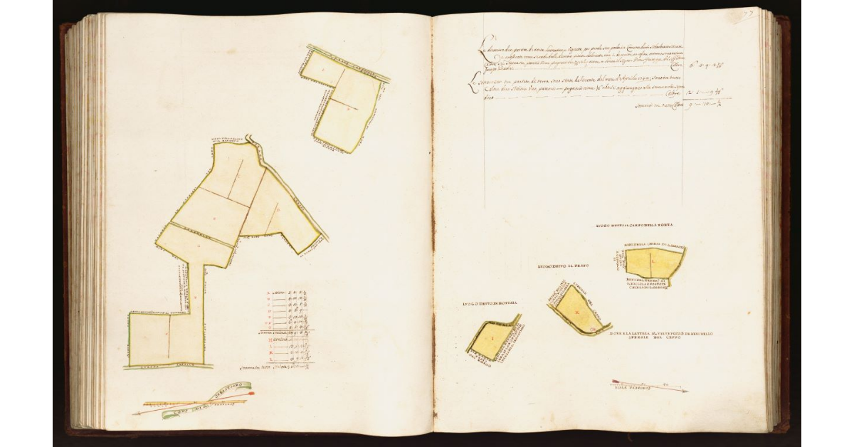 [Pianta di due partite di terra situate nel comune di S. Sebastiano]
