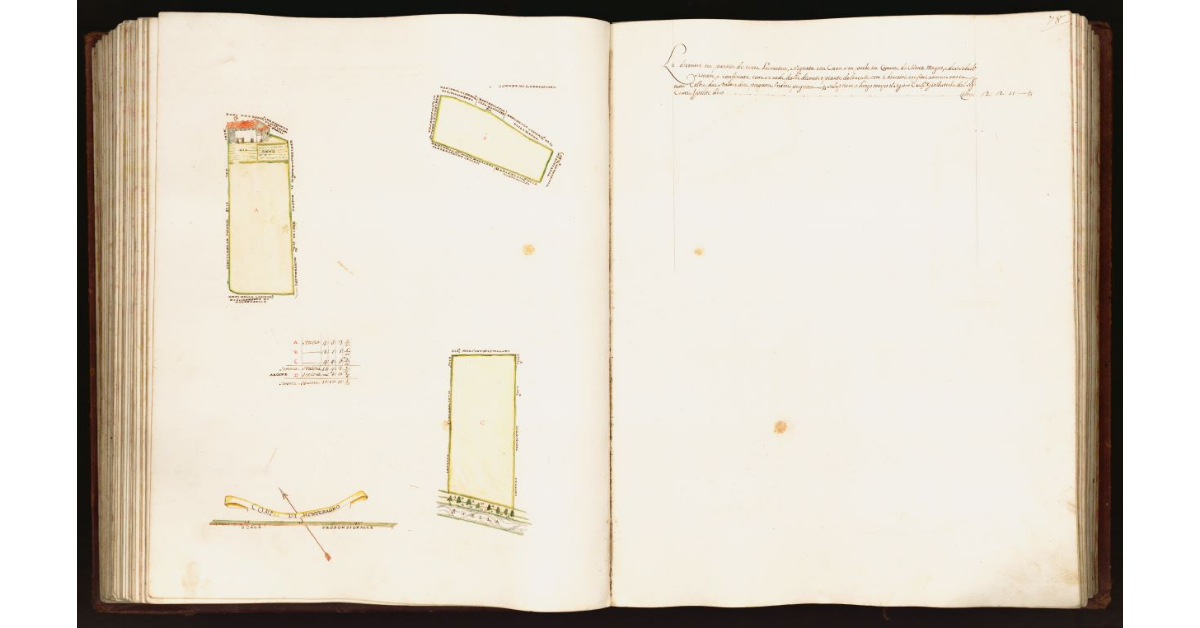 [Pianta di tre partite di terra situate nel comune di Montemagno]